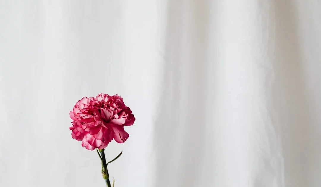 Routinen, die dir helfen, deinen Alltag als Beauty-Selbstständige zu meistern